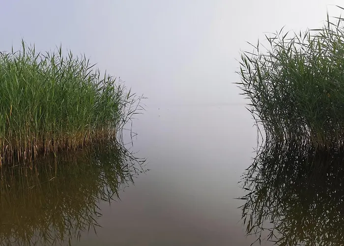 Prázdninový dům Ecorelax Blotnik